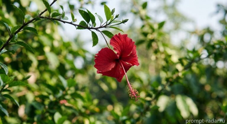 Промпт: Макро снимок красного гибискуса на ветке, мягкий боке